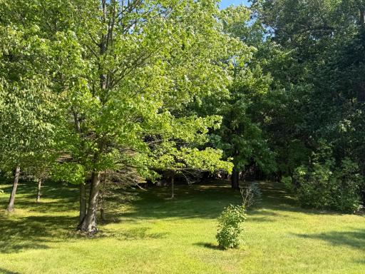 Several trees planted throughout yard