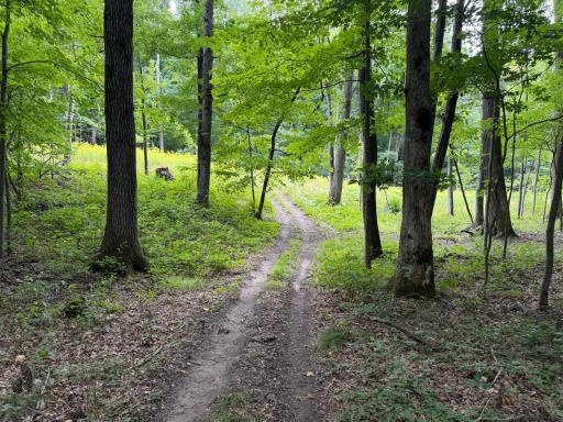 Path goes all the way to end of property