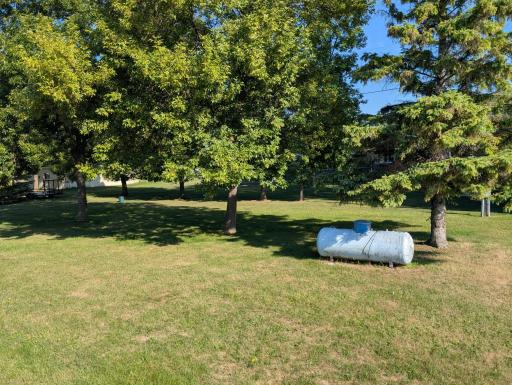 1Backyard