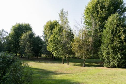 S51 Deer Run Road, Mondovi, WI 54755