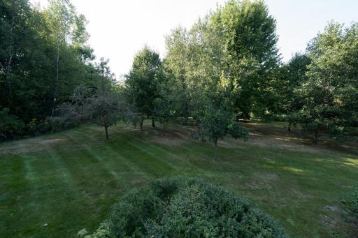 S51 Deer Run Road, Mondovi, WI 54755