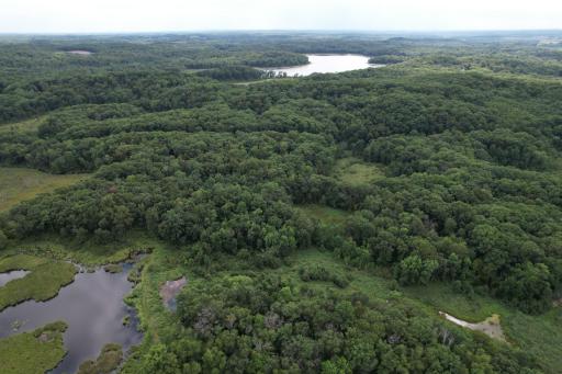 dji_fly_20260817_153340_53_1786999244516_photo.jpg
