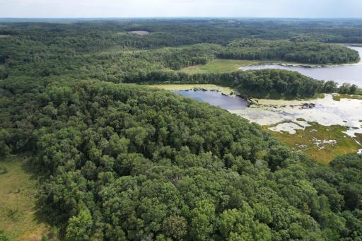 dji_fly_20260817_153438_58_1786999235150_photo.jpg