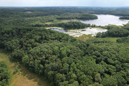 dji_fly_20260817_153430_57_1786999237076_photo.jpg