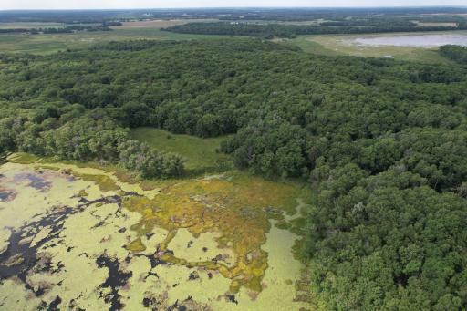 dji_fly_20260817_153616_63_1786999224566_photo.jpg