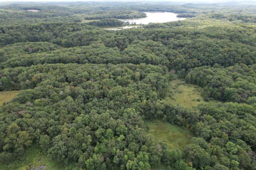 dji_fly_20260817_153348_54_1786999242823_photo.jpg