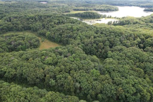 dji_fly_20260817_153410_56_1786999239111_photo.jpg