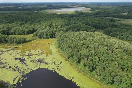 dji_fly_20260817_153546_61_1786999228939_photo.jpg