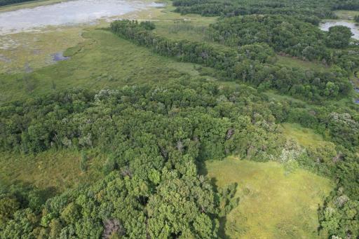 dji_fly_20260817_153758_70_1786999209336_photo.jpg