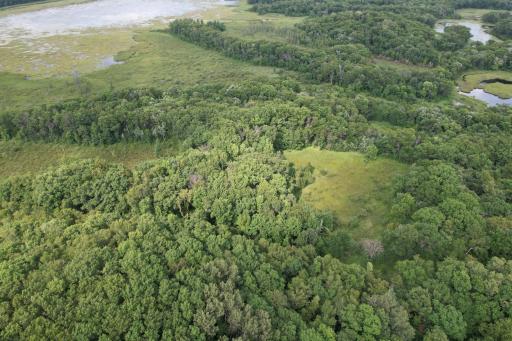 dji_fly_20260817_153752_69_1786999211505_photo.jpg