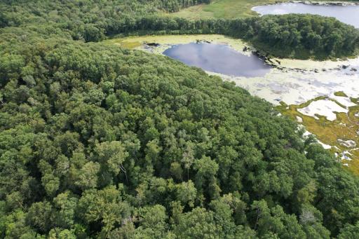 dji_fly_20260817_153444_59_1786999233243_photo.jpg