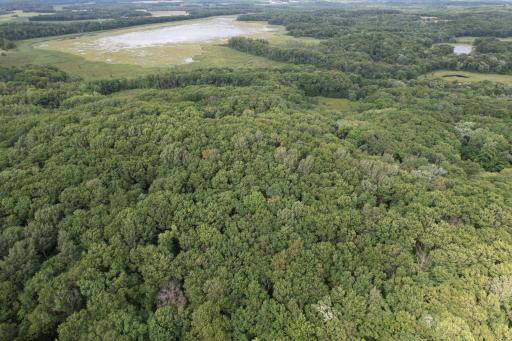 dji_fly_20260817_153734_67_1786999216093_photo.jpg