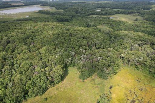 dji_fly_20260817_153718_65_1786999220601_photo.jpg