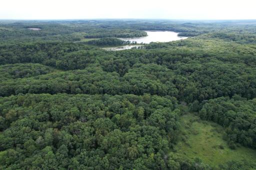 dji_fly_20260817_153352_55_1786999240848_photo.jpg