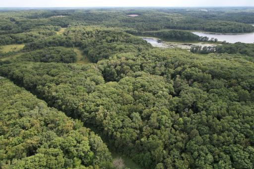 dji_fly_20260817_153812_71_1786999207232_photo.jpg