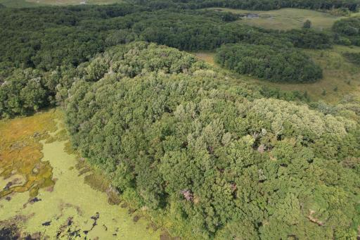 dji_fly_20260817_153556_62_1786999226887_photo.jpg