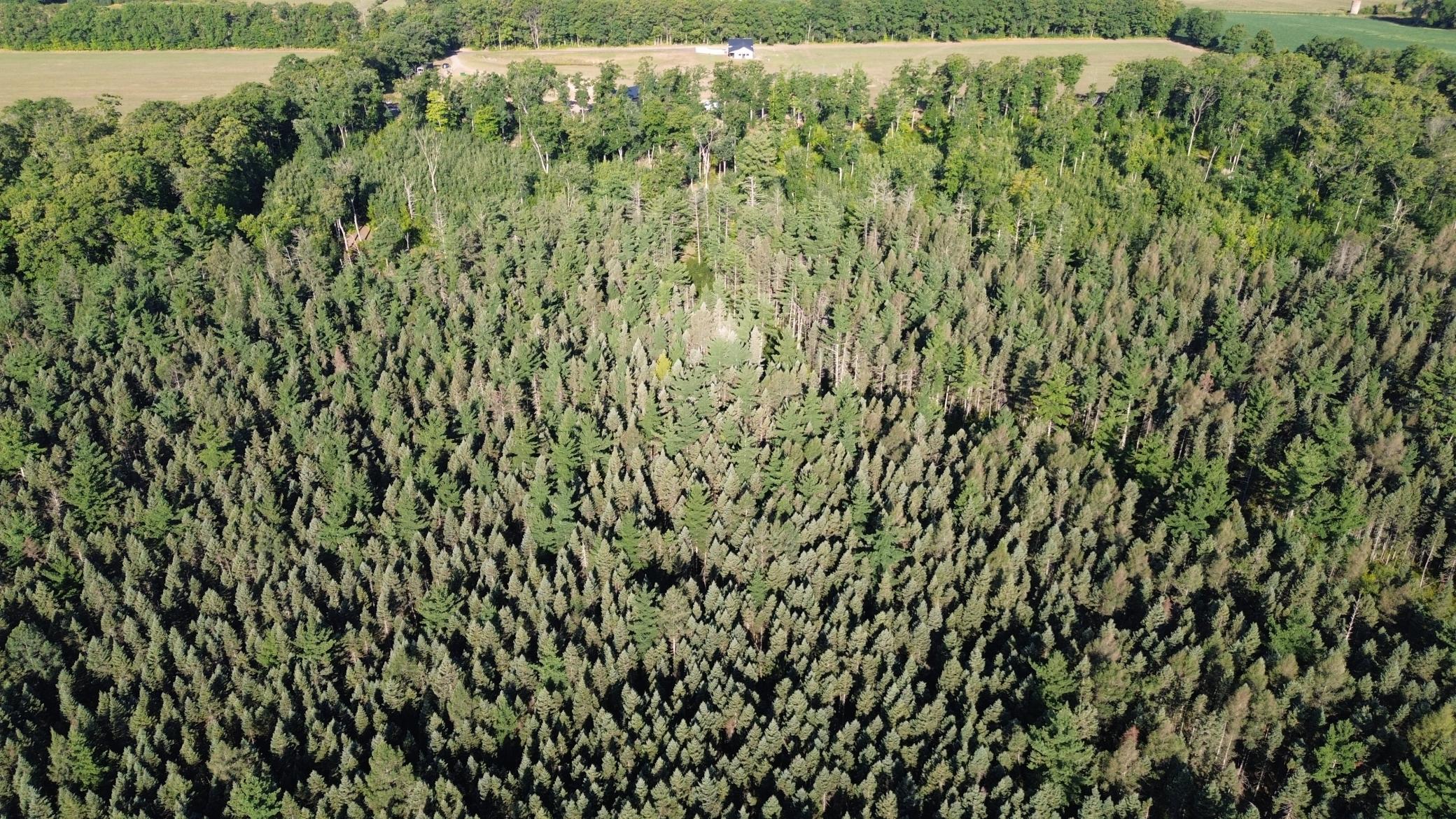 DJI_0720.JPG