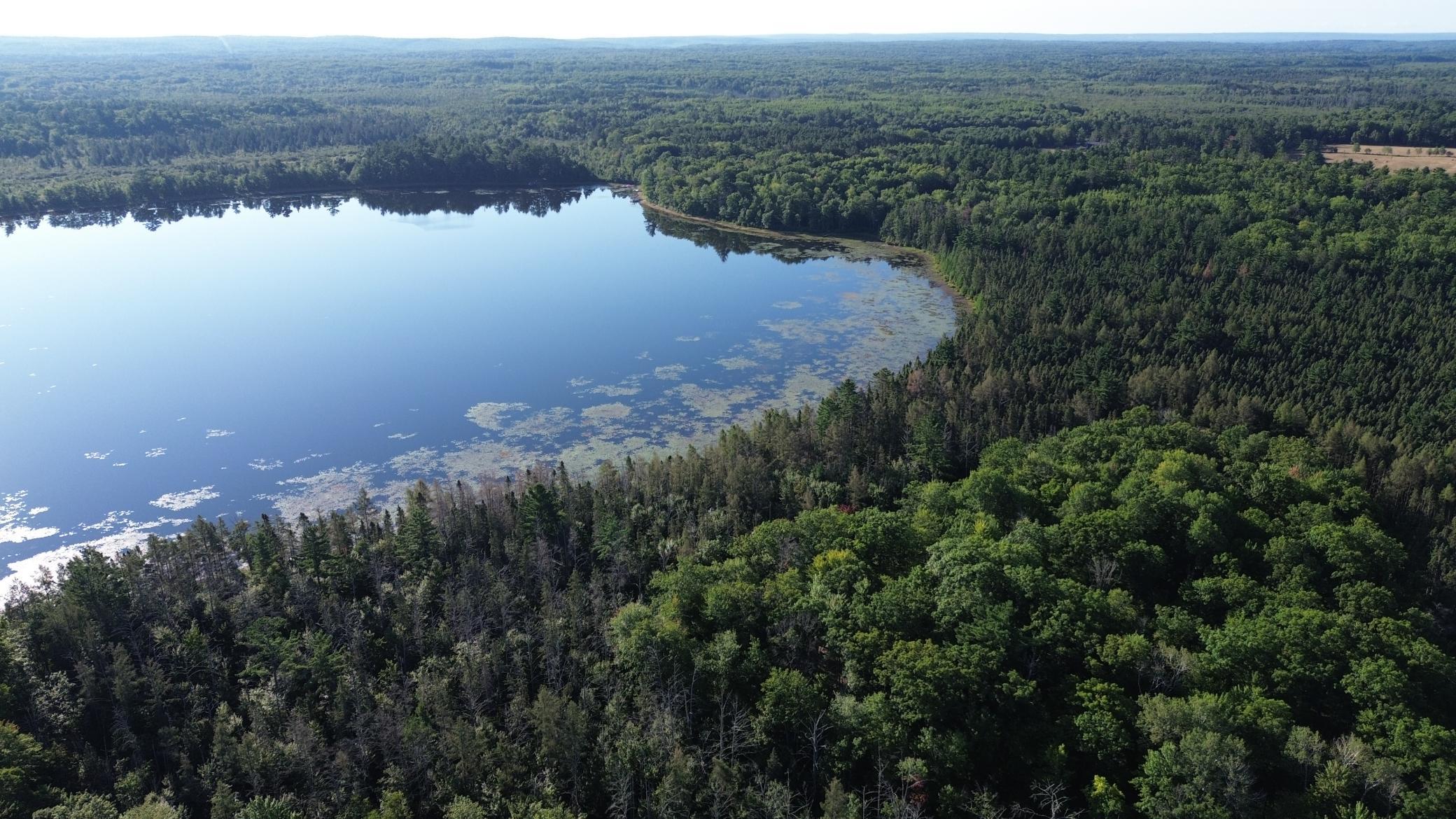 DJI_0707.JPG