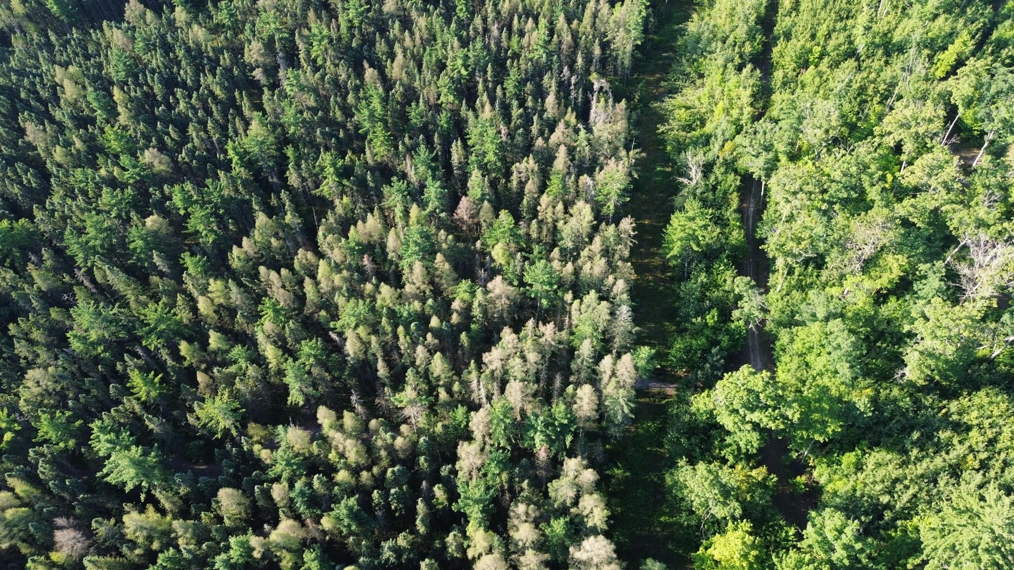 DJI_0711.JPG