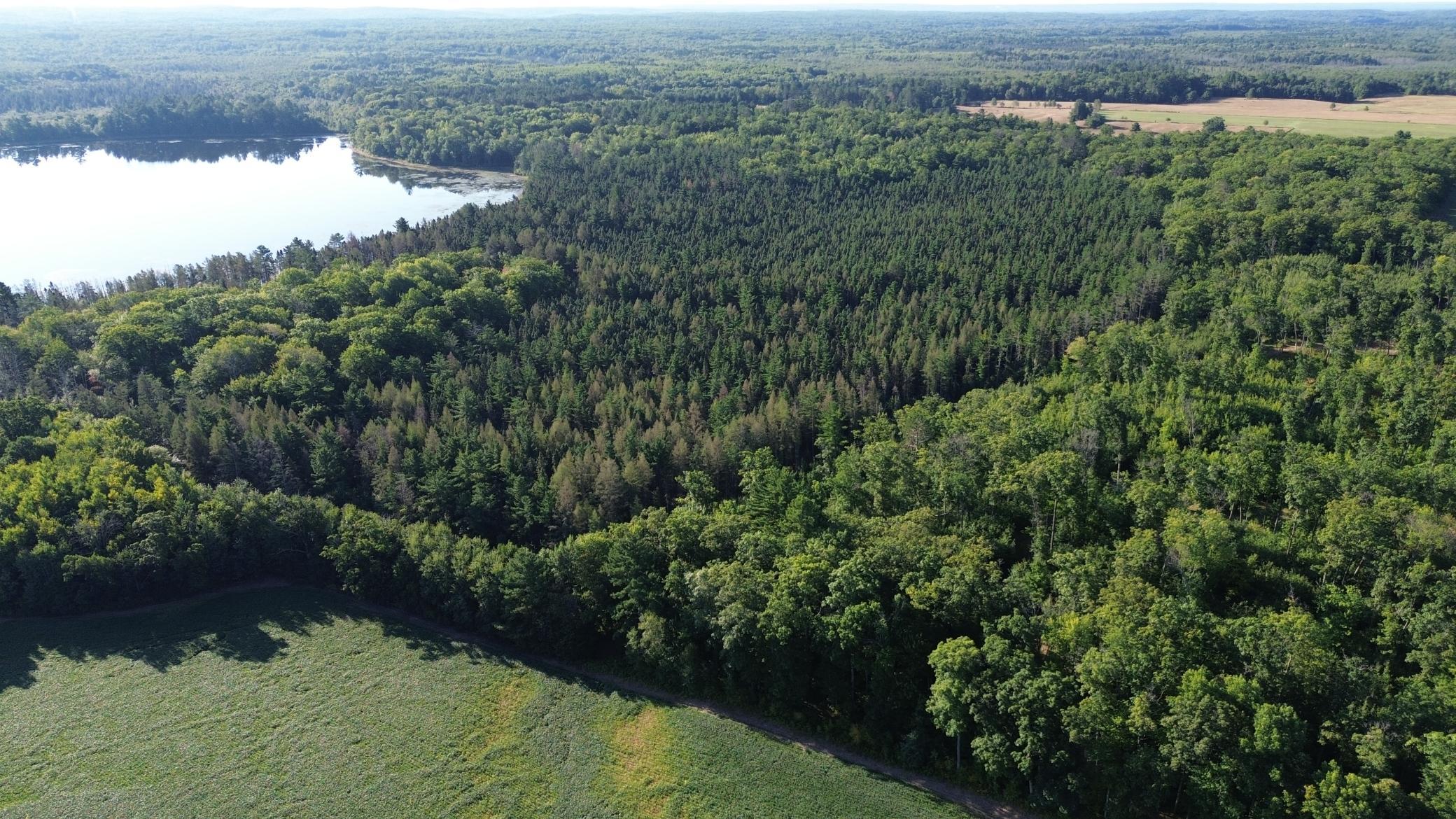 DJI_0709.JPG