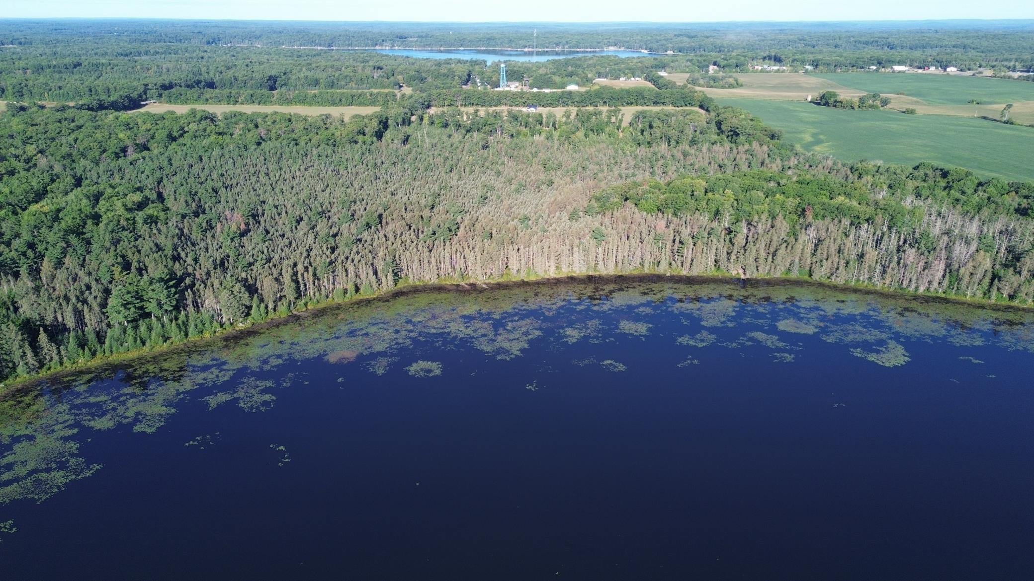 DJI_0703.JPG