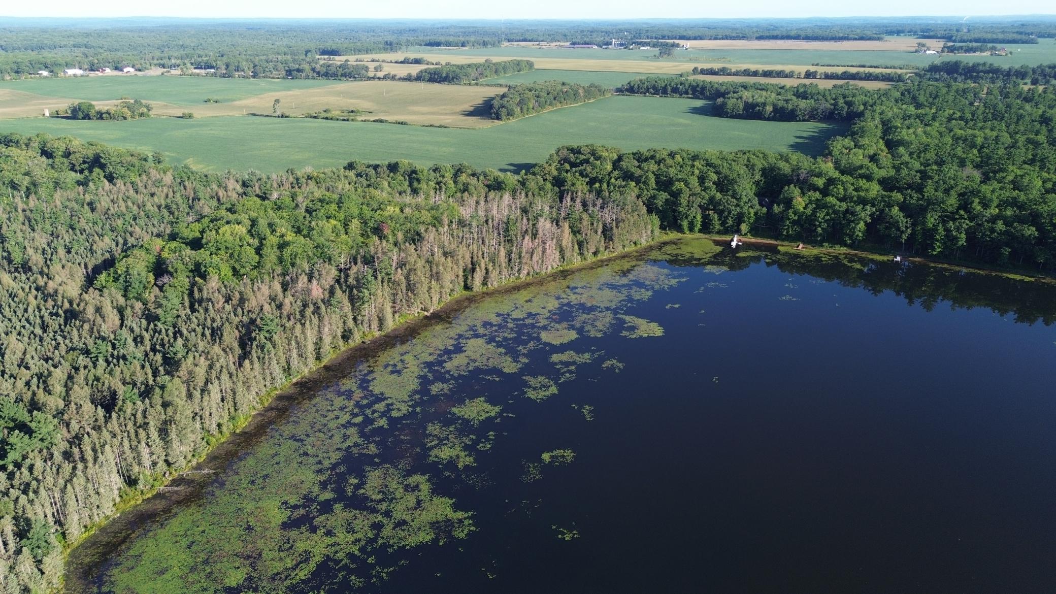 DJI_0702.JPG
