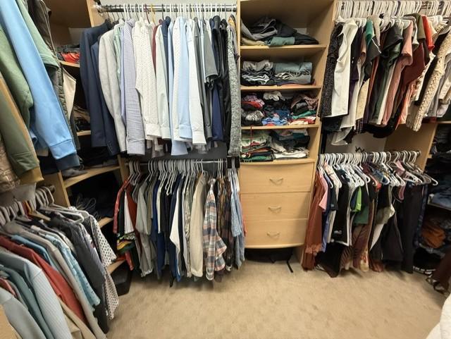 Mstr walk-in closet