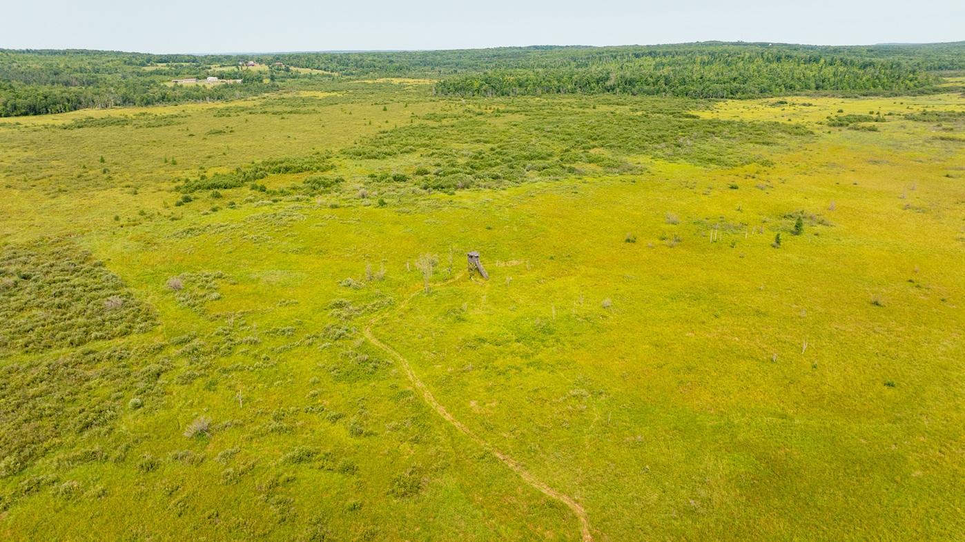 DJI_0531.jpg