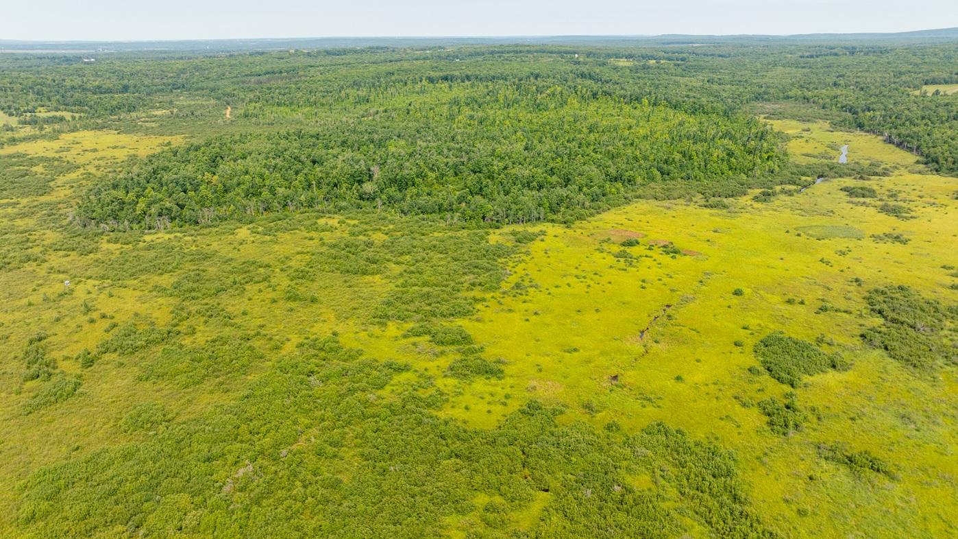 DJI_0536.jpg