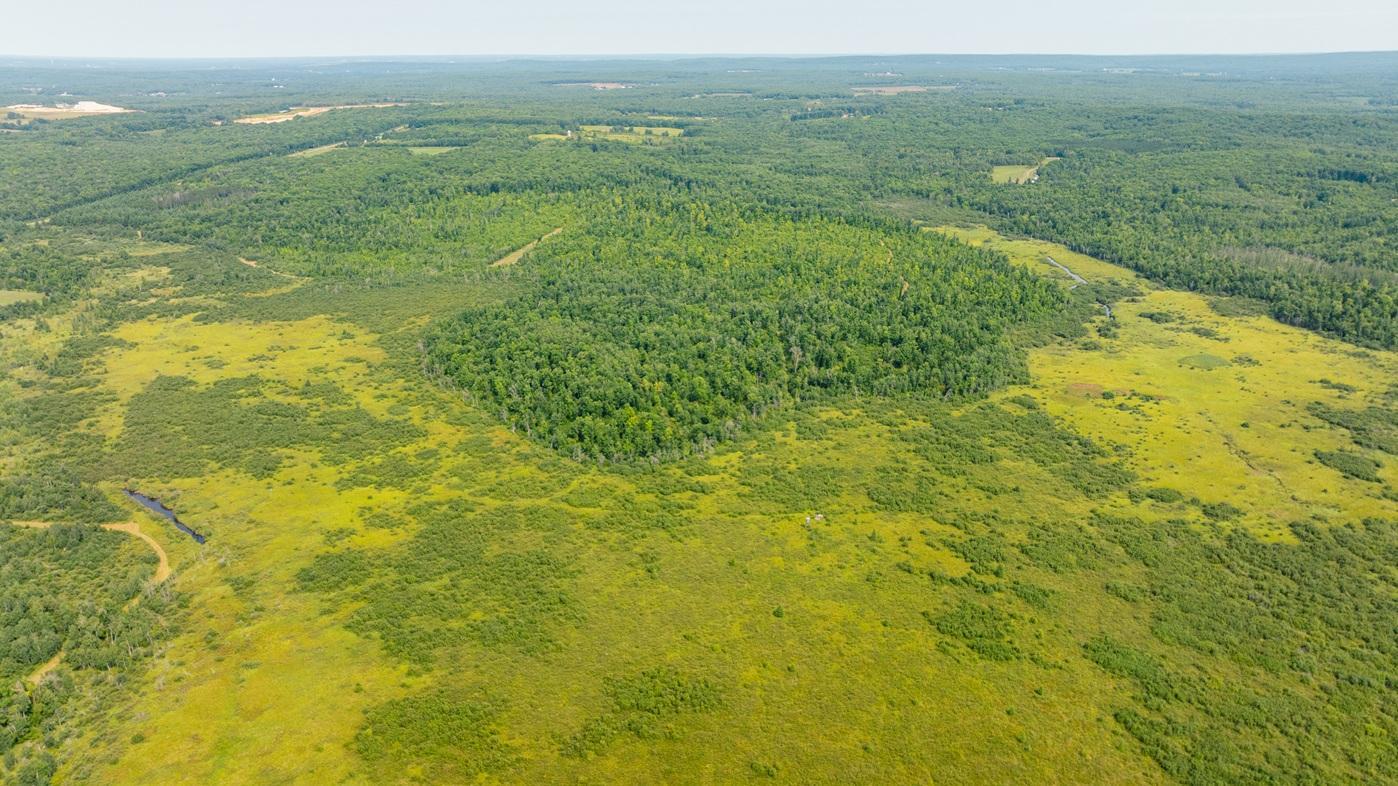 DJI_0555.jpg