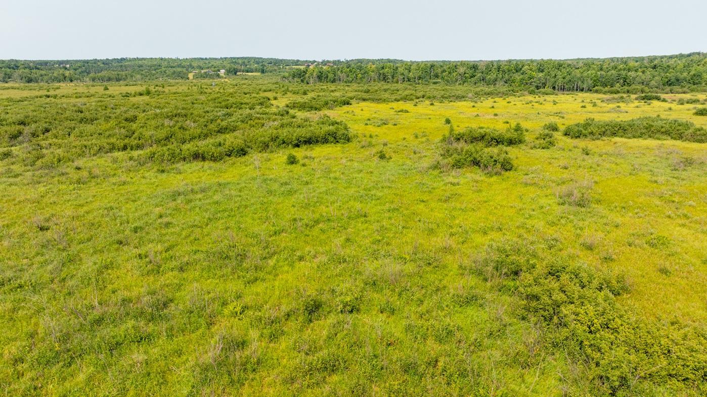 DJI_0538.jpg