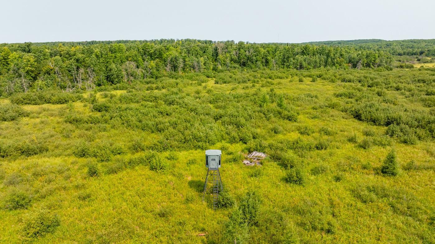 DJI_0567.jpg