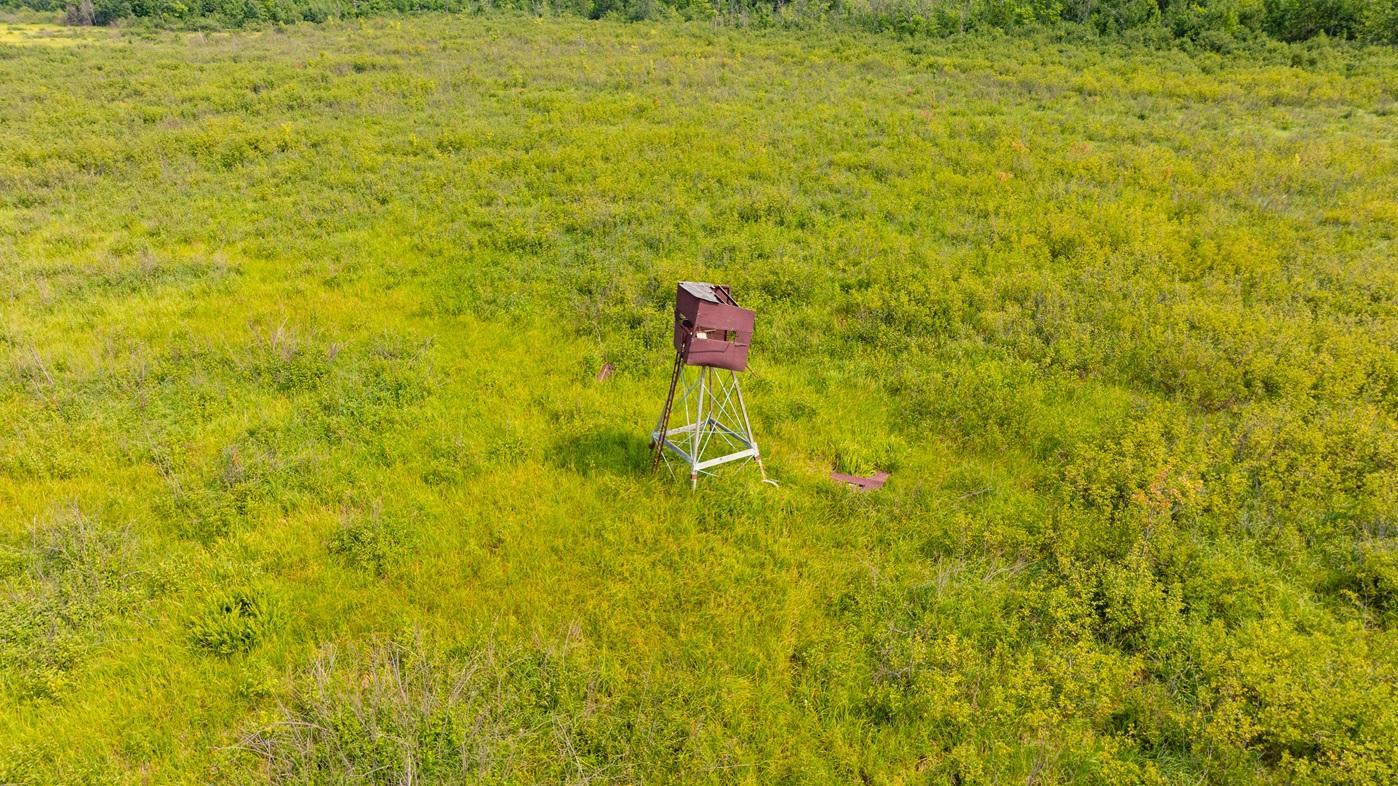 DJI_0537.jpg