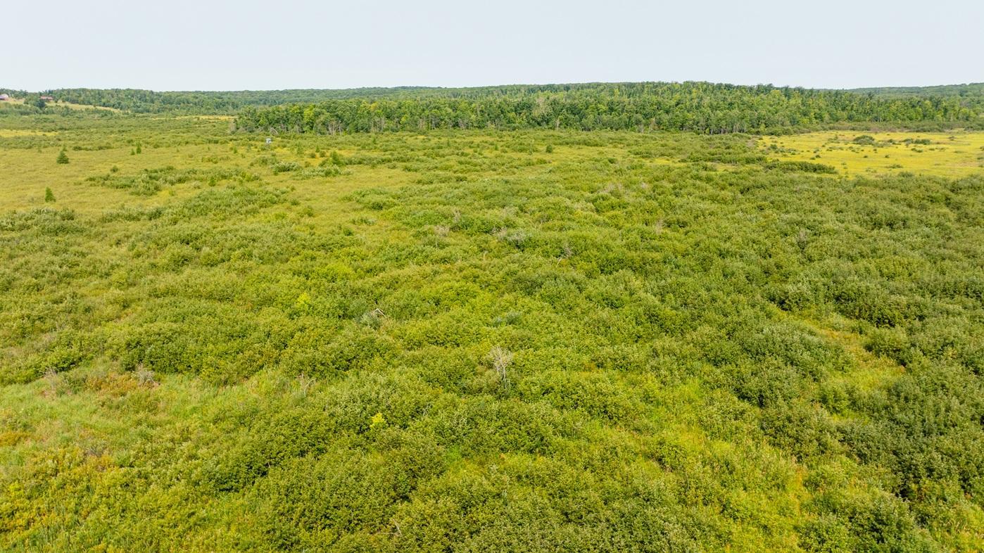 DJI_0560.jpg