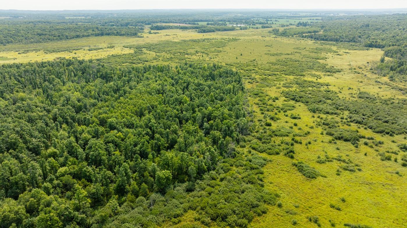 DJI_0548.jpg