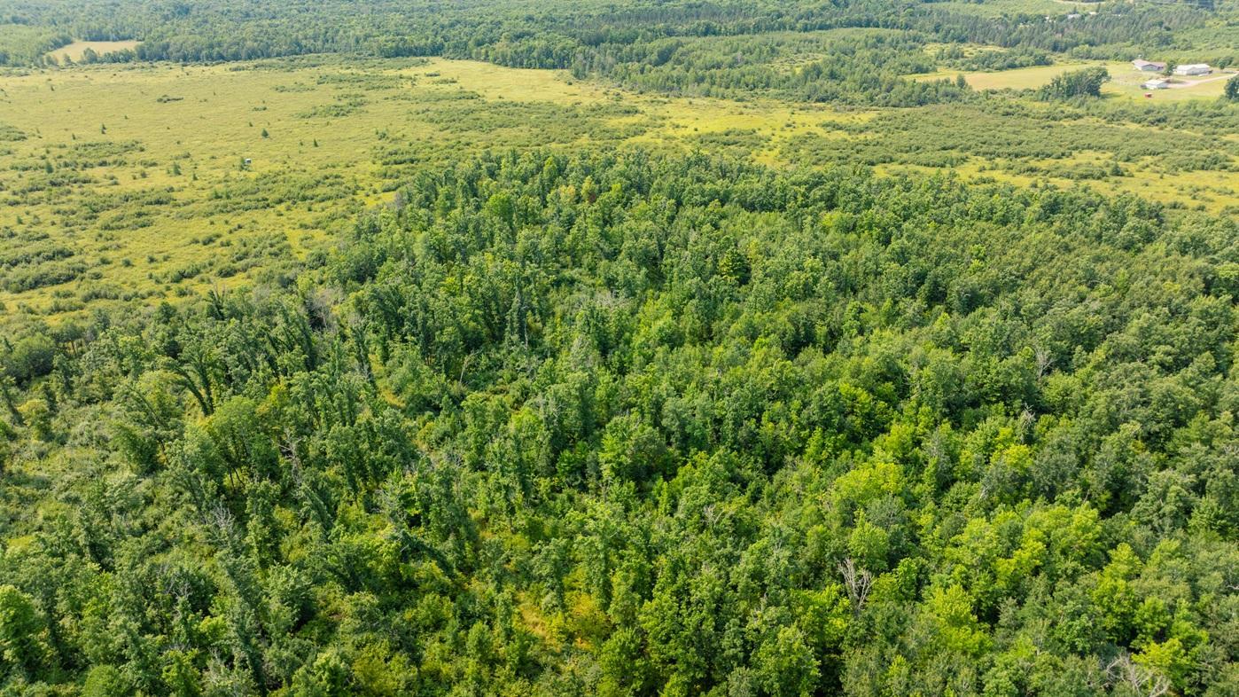 DJI_0545.jpg