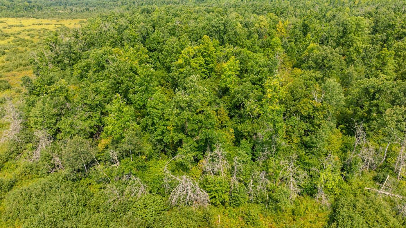DJI_0565.jpg
