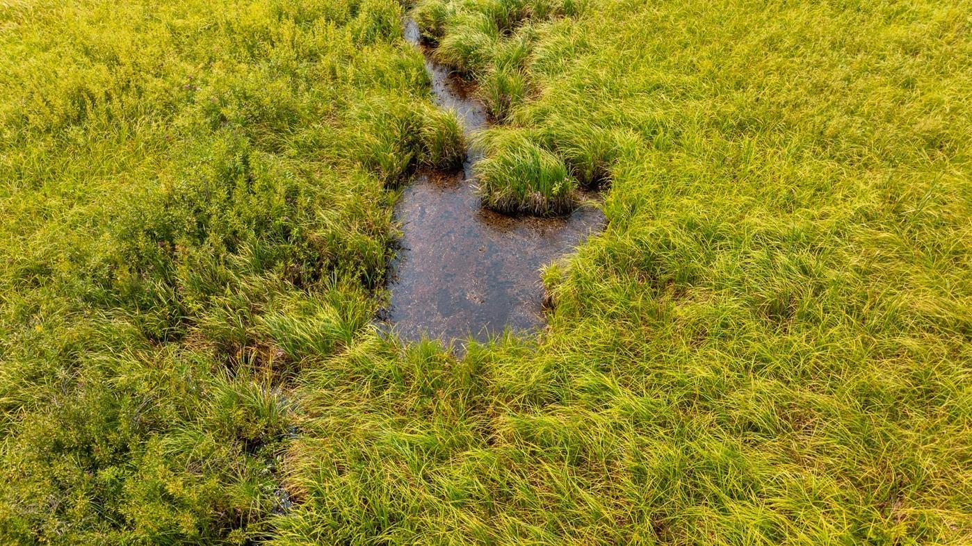 DJI_0571.jpg