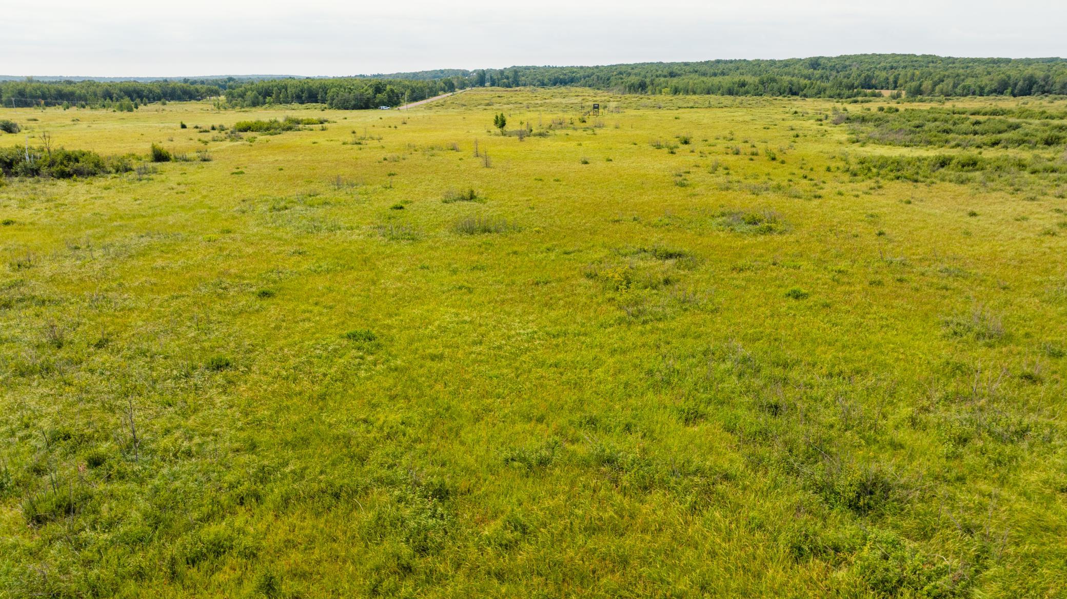 DJI_0539.jpg