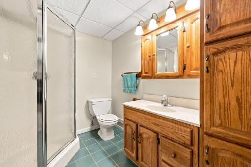 27906 Ambassador Drive, Grey Eagle, MN 56336