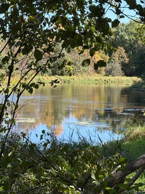 apple river.jpeg