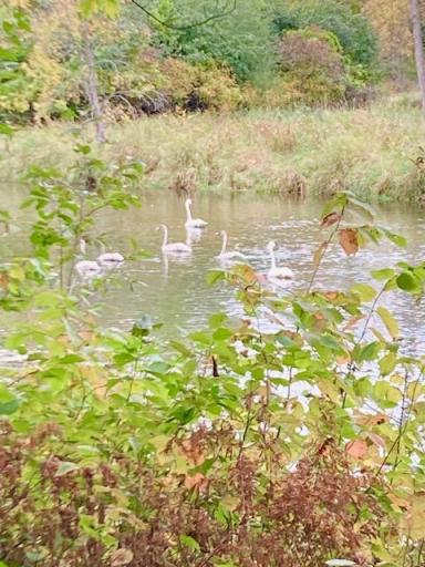 1588 Apple River Lane, Balsam Lake, WI 54810