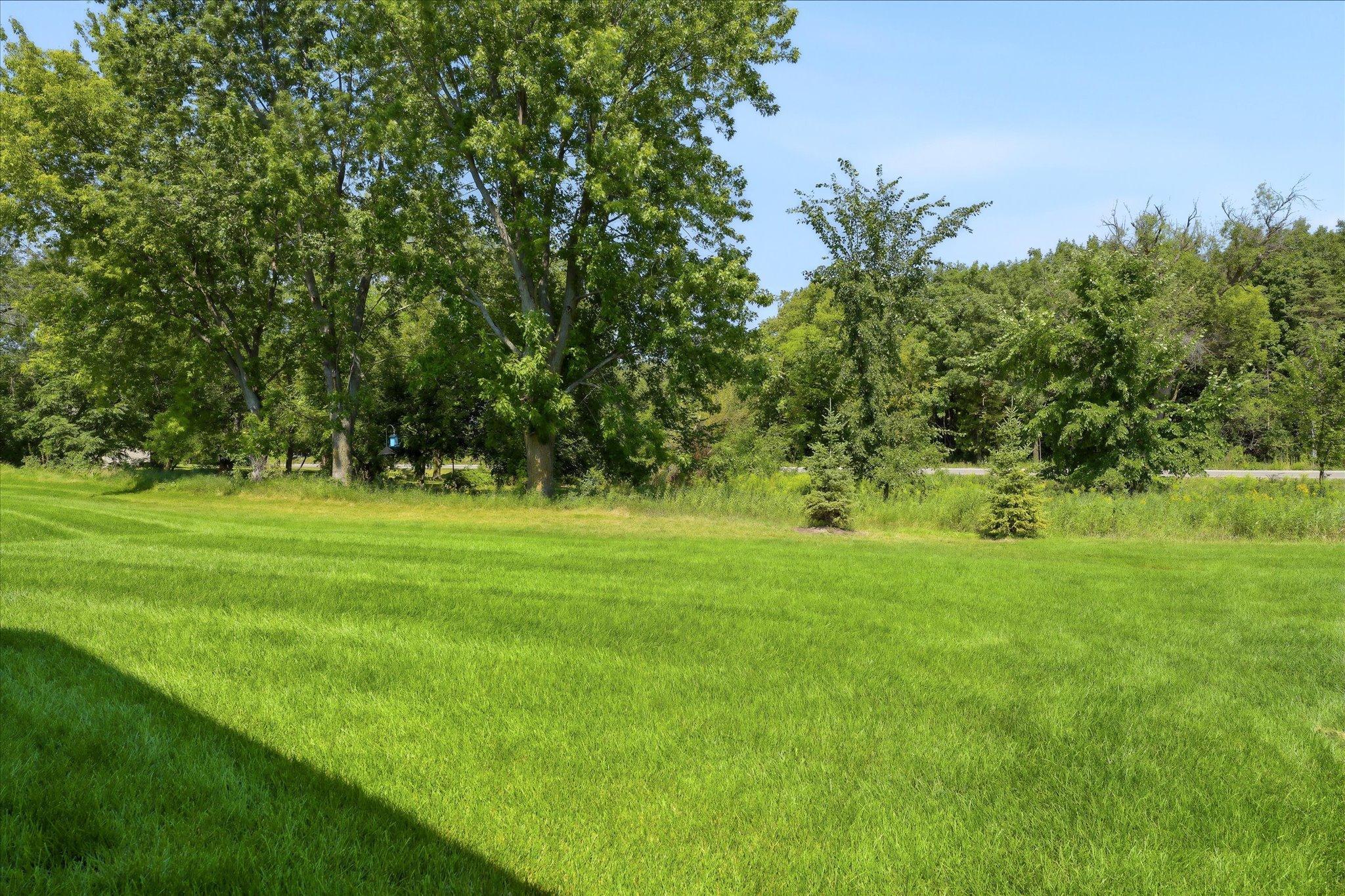 Ample Greenspace & Trees