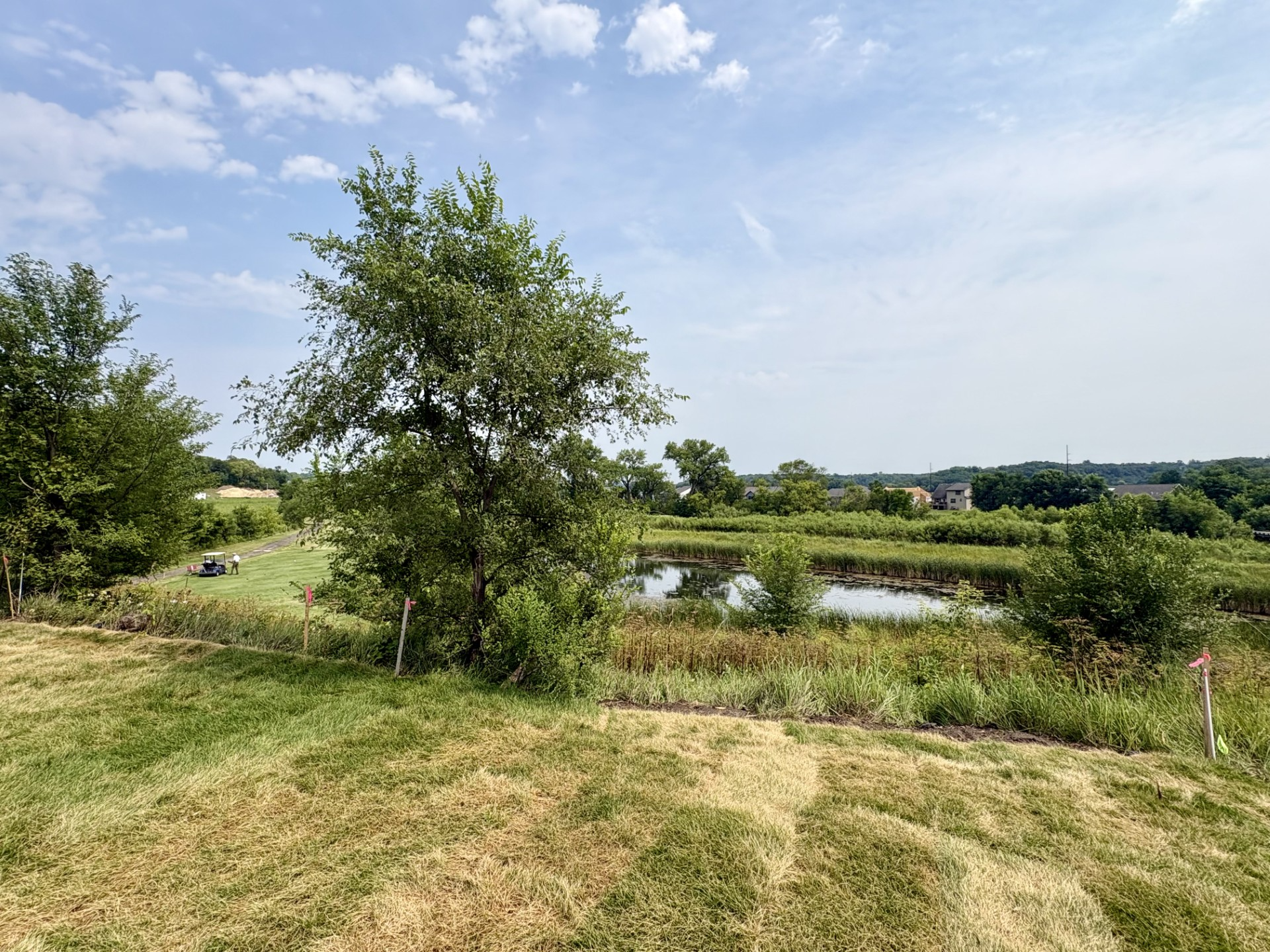 Beautiful backyard views! (Photo is of the actual backyard.)