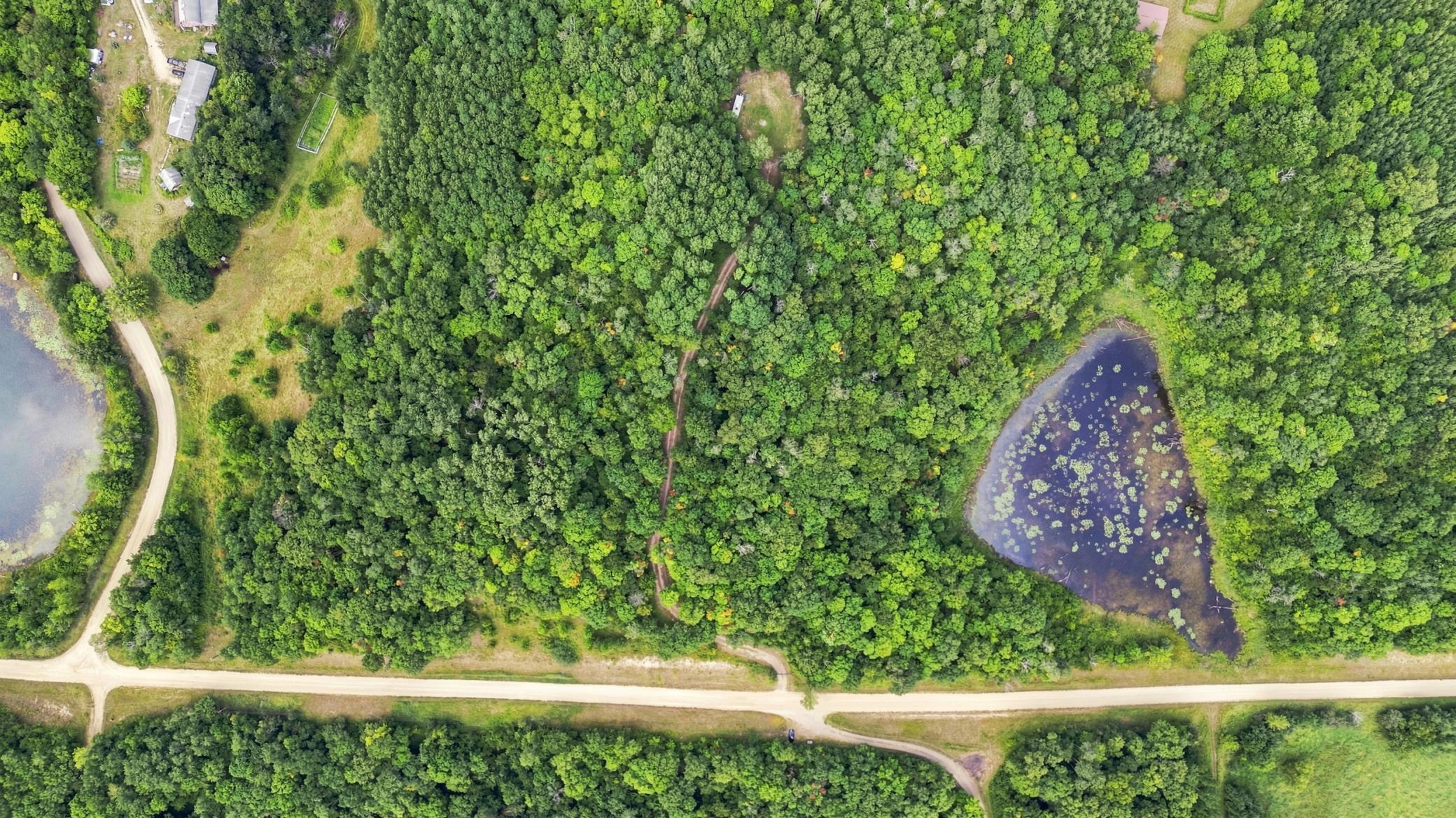 Overhead View