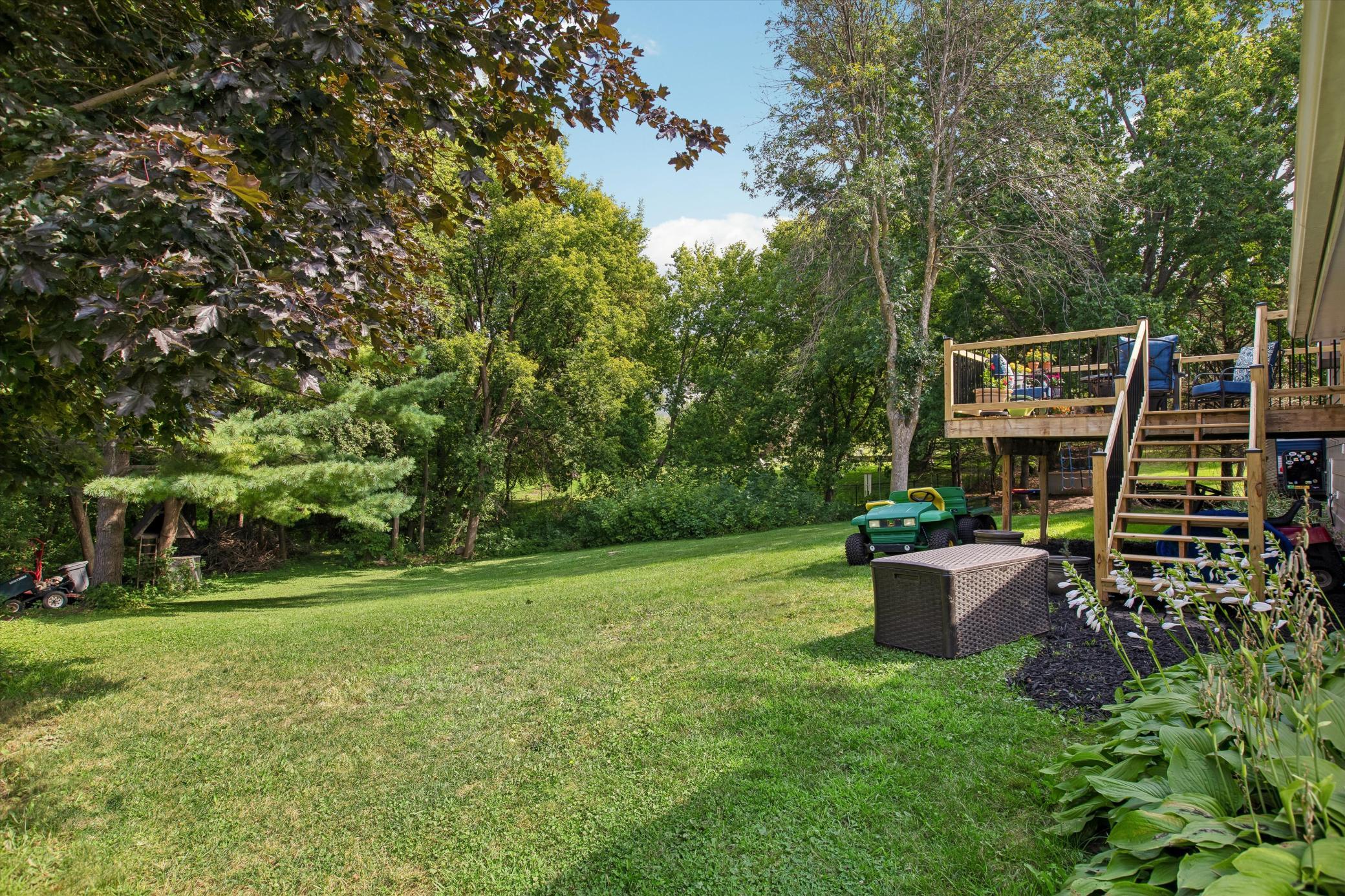 Green, nature-filled backyard setting