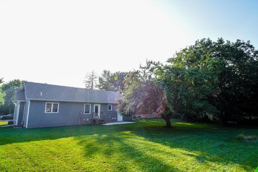 DSC_6770.jpg