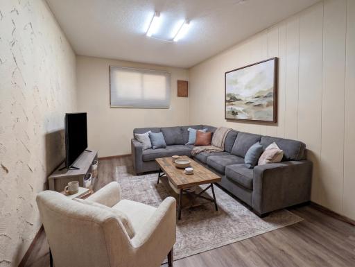 Lower level family room (virtually staged)