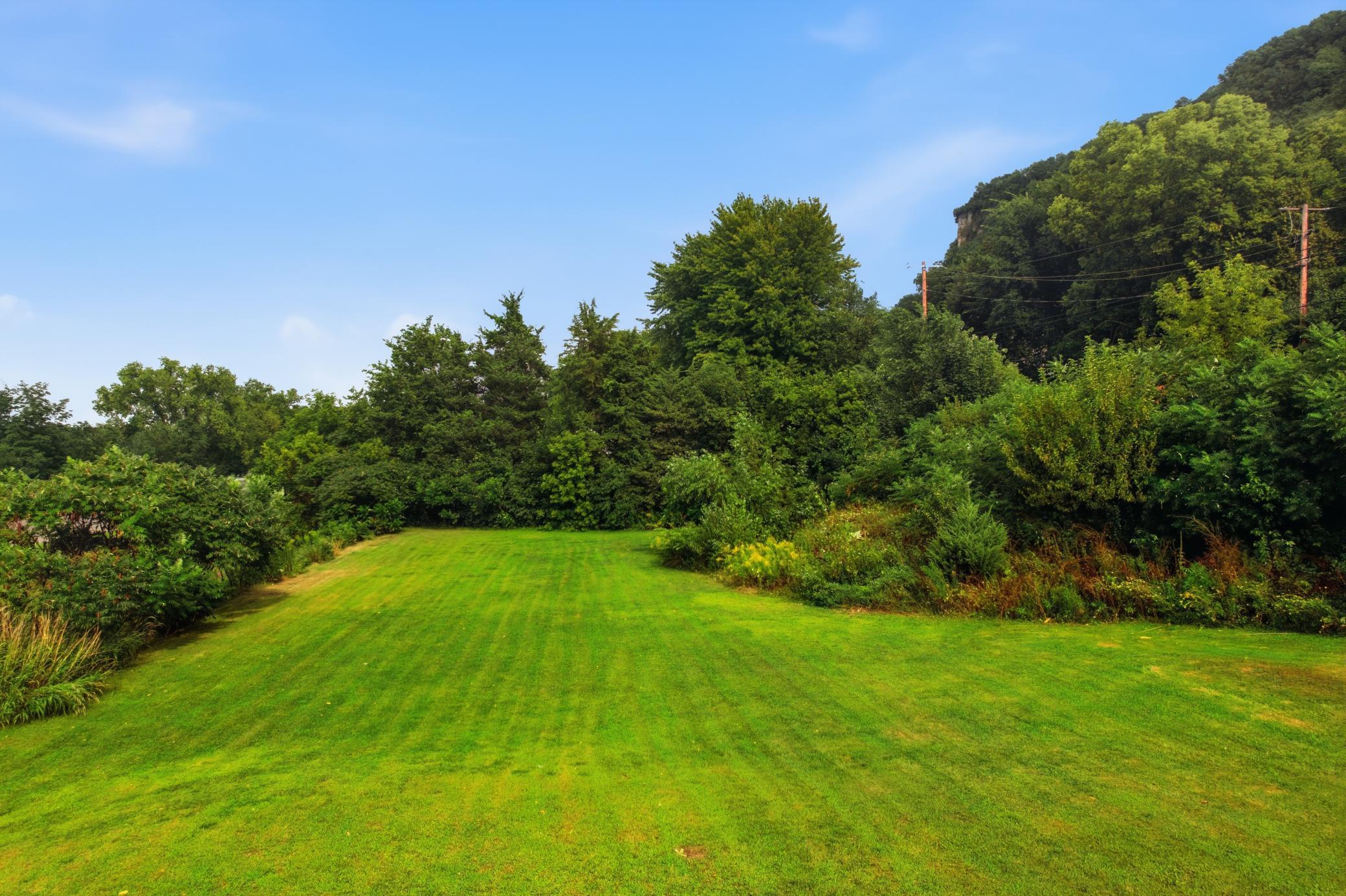 Additional Green space
