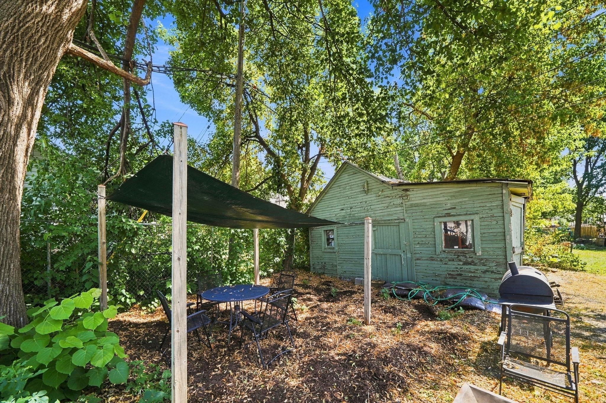 Back yard